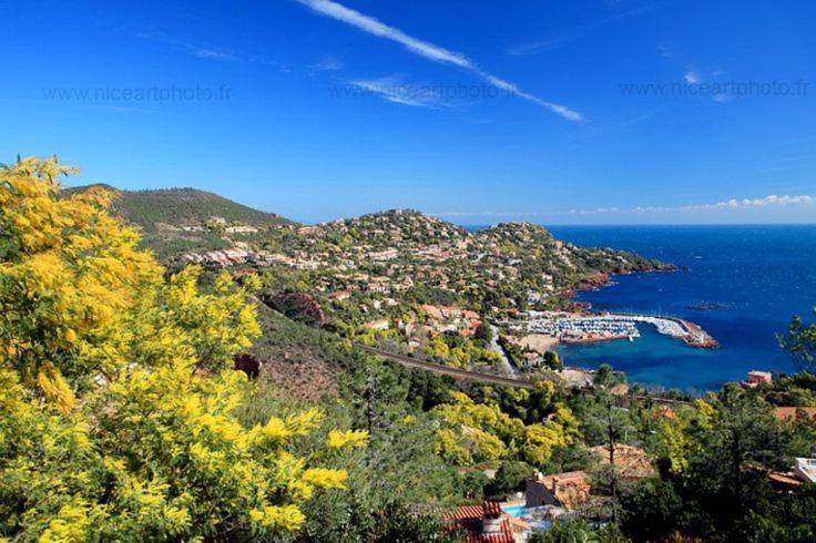 Studio 4P Vue Mer Calme Cap Esterel Saint-Raphaël Buitenkant foto